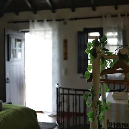 Banyan Tree Feriehus Óbidos