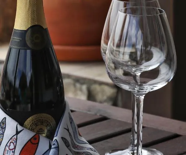 Banyan Tree אובידוס